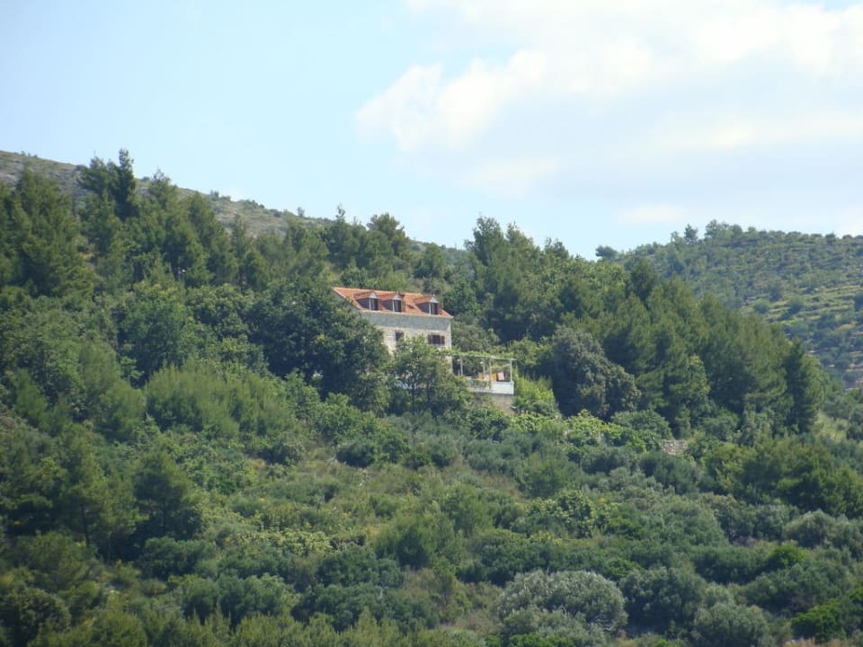 Blick vom Meer aus Apartment Olivia
