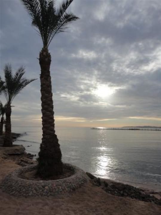 Sonnenaufgang Beach Albatros Resort