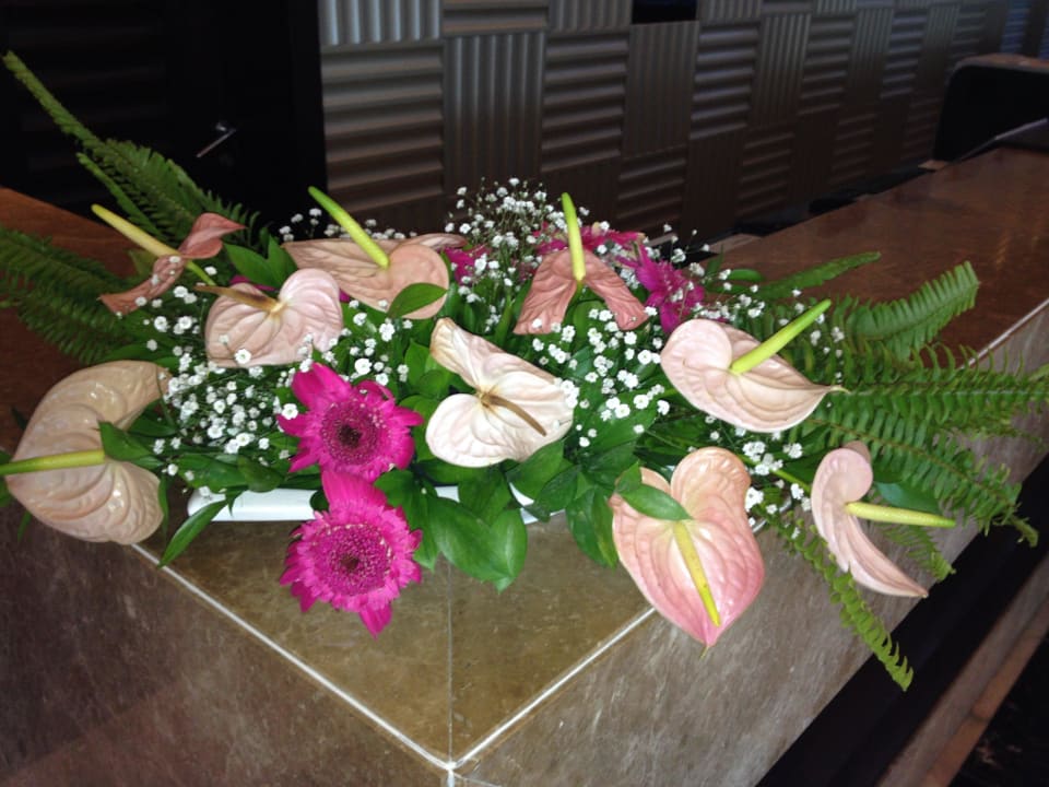Willkommen beim eingang Susesi Luxury Resort