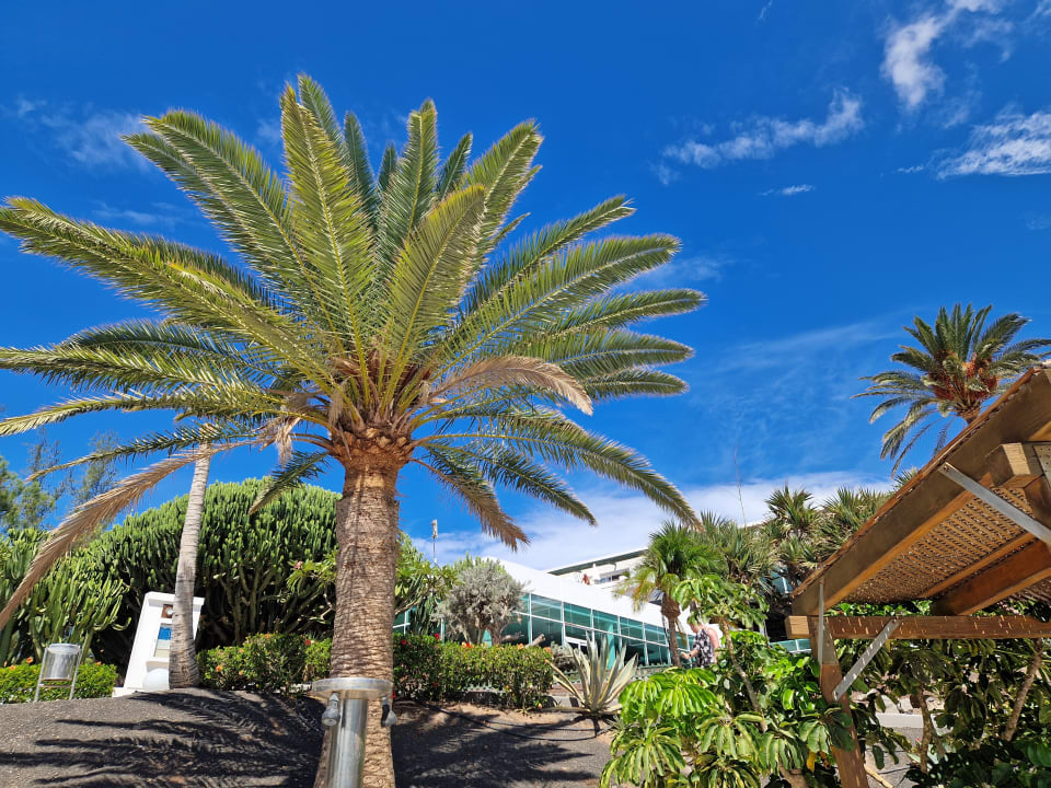 Ausblick allsun App.-Hotel Esquinzo Beach