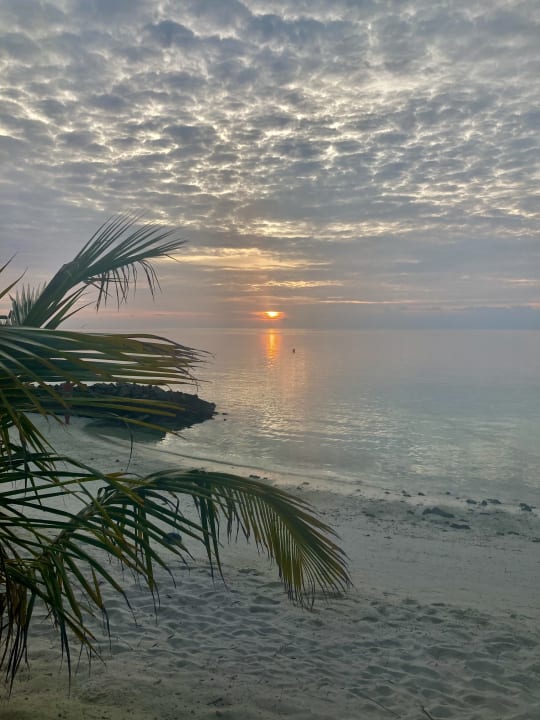 Ausblick Summer Island Maldives