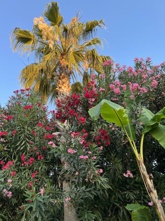 Außenansicht Hotel Sidekum