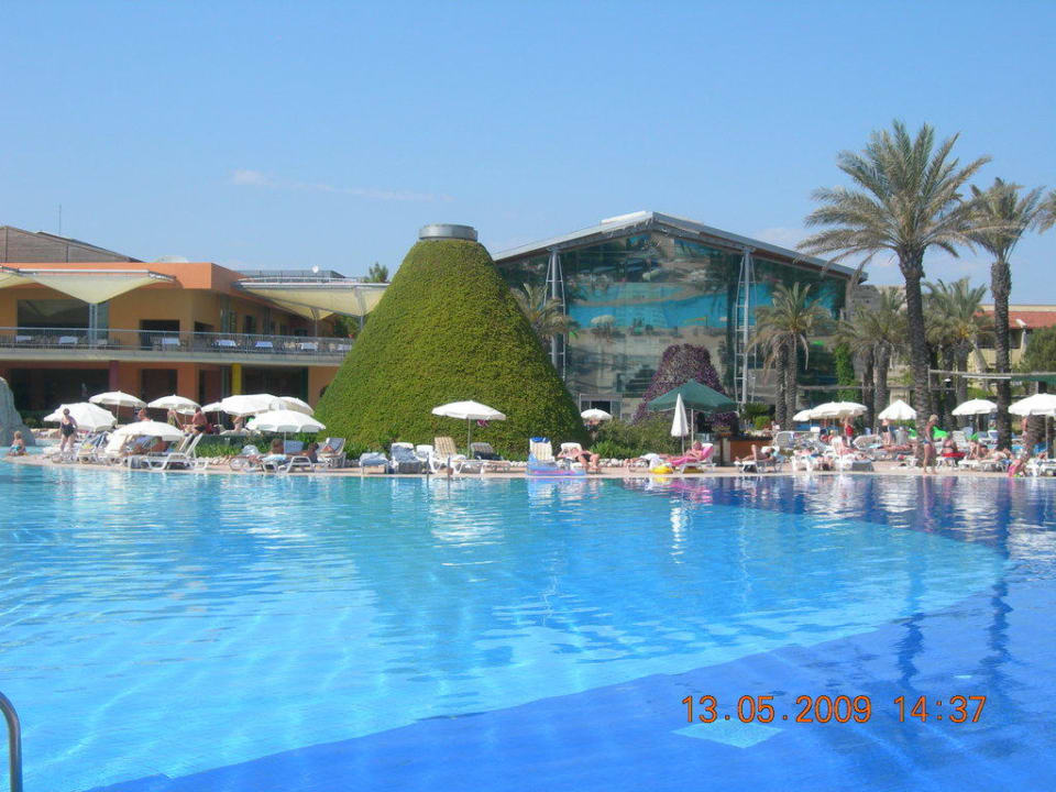 Basen AQI Pegasos World