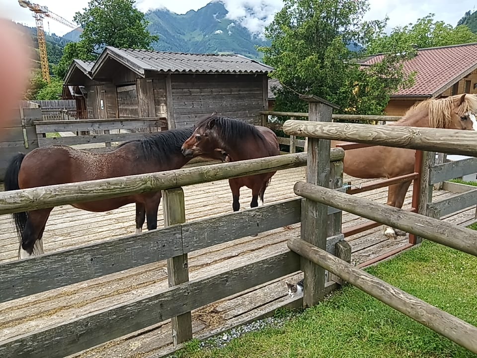 Sport & Freizeit Hotel Ferienparadies Lerch