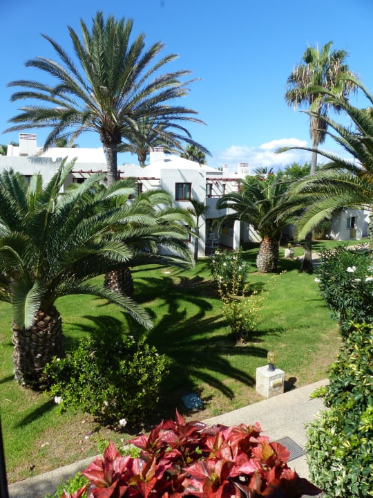 Gartenanlage Alua Suites Fuerteventura