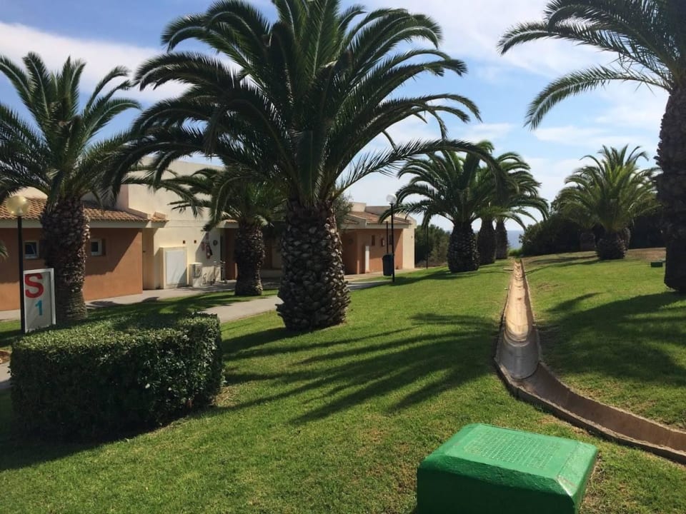 Ogród blau punta reina