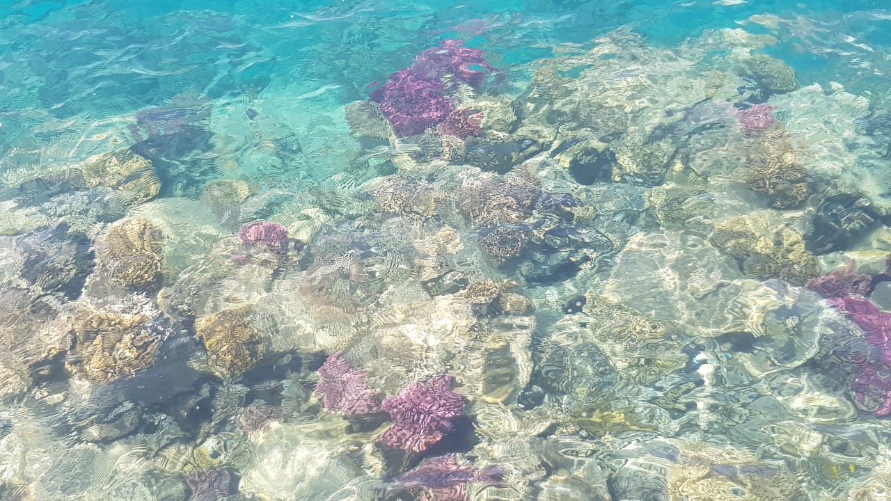 Sport & Freizeit Hotel Mercure Hurghada