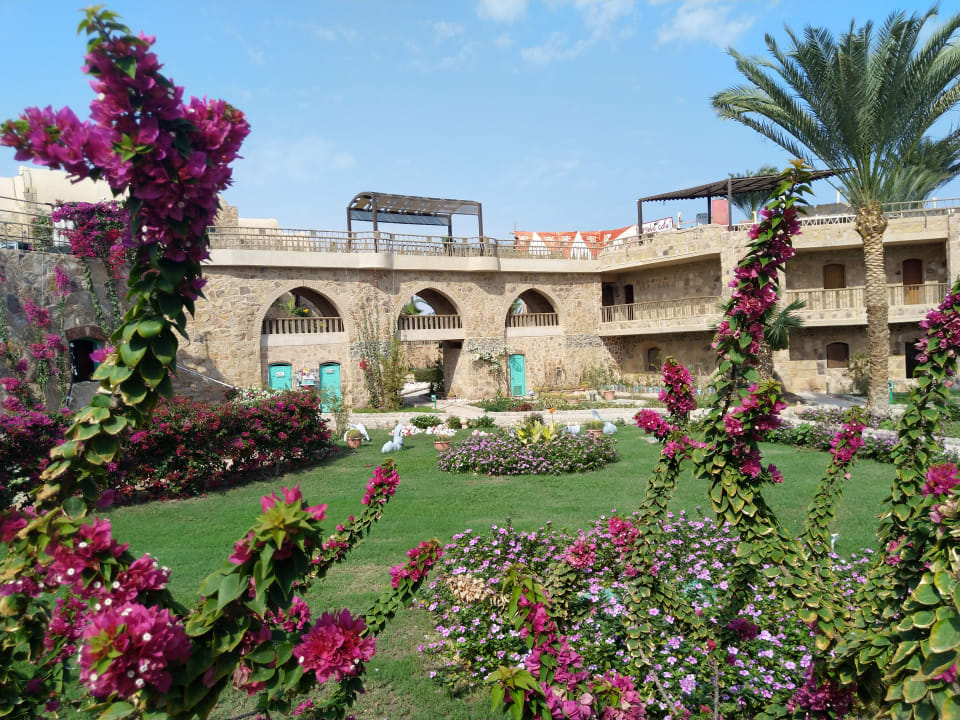 Außenansicht Utopia Beach Club