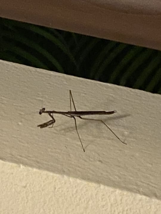 Sonstiges Akumal Bay Beach & Wellness Resort