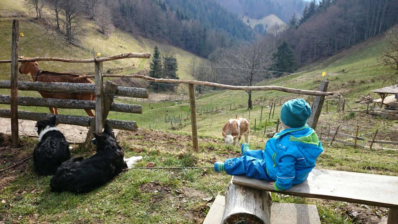 Nelly und Ronja bewachen die Ziegen Ferienwohnungen Milchmattenhof