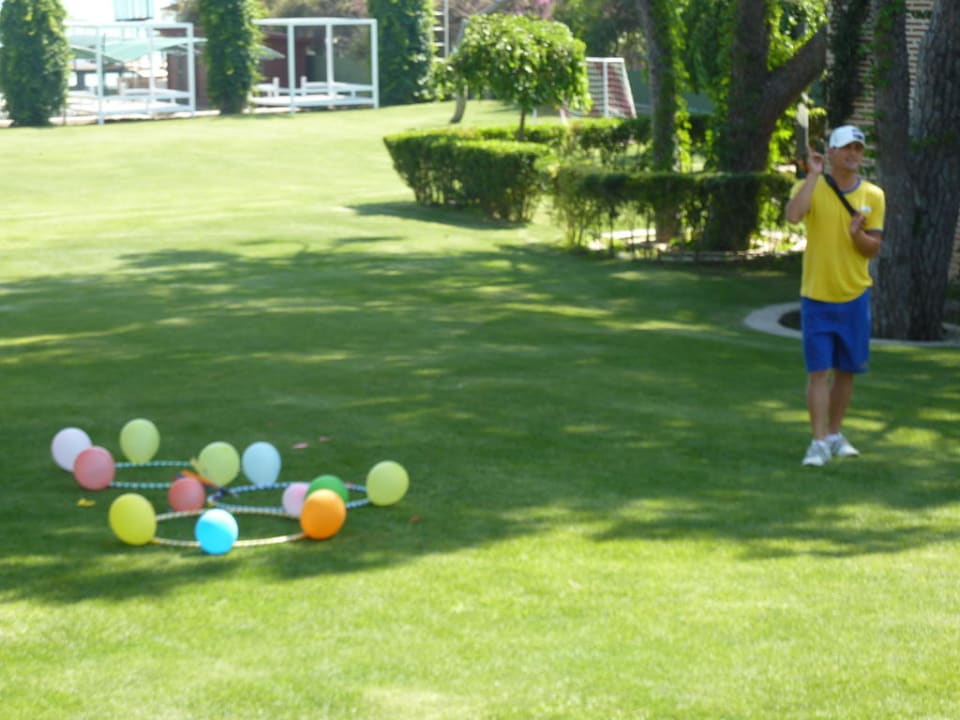 Gry i zabawy Papillon Ayscha