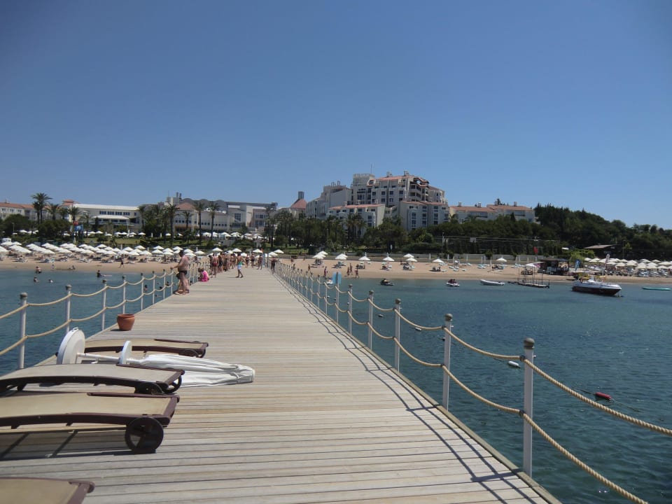 Genial PALOMA Perissia