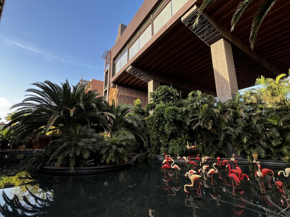 Gartenanlage Lopesan Baobab Resort