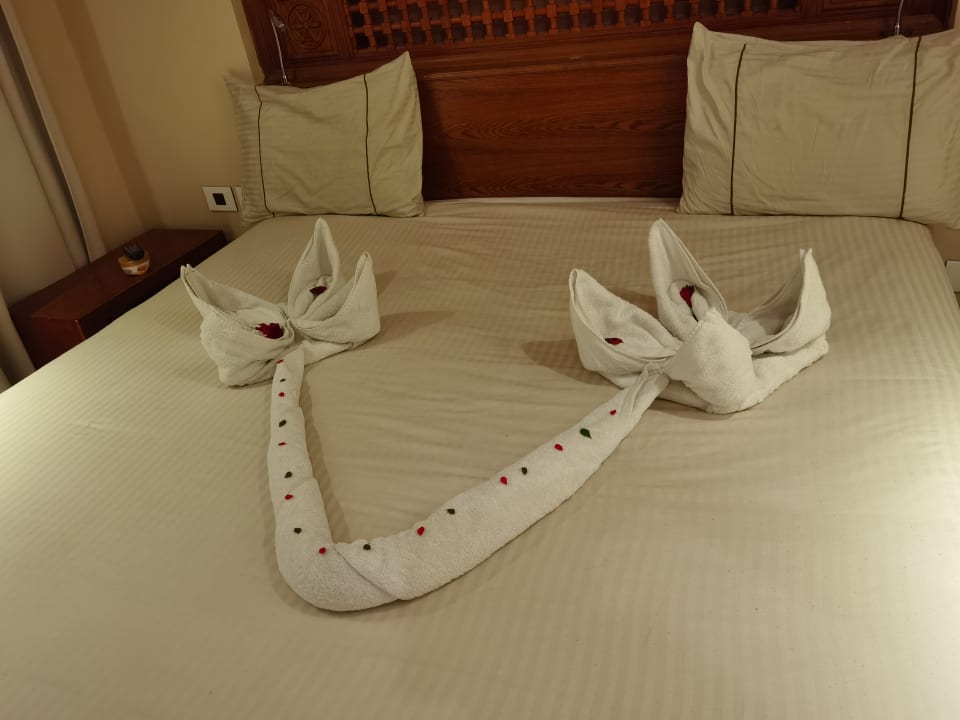 Zimmer Grand Waterworld Makadi & Family Star Makadi