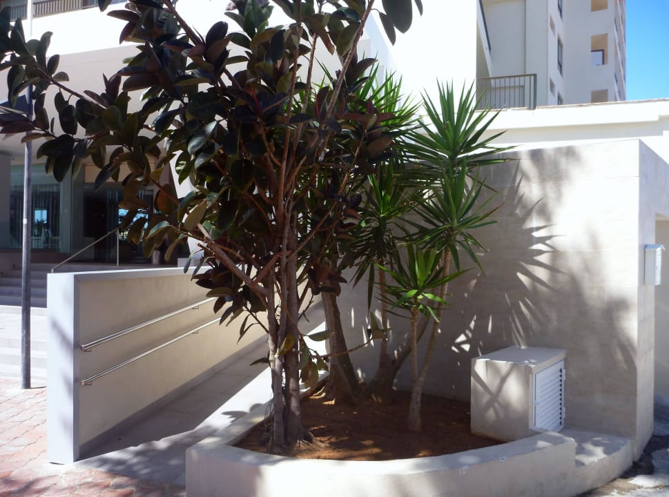 Vor dem Hotel NYX Hotel Ibiza - adults only