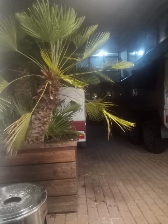 Sonstiges Vitalhotel König am Park