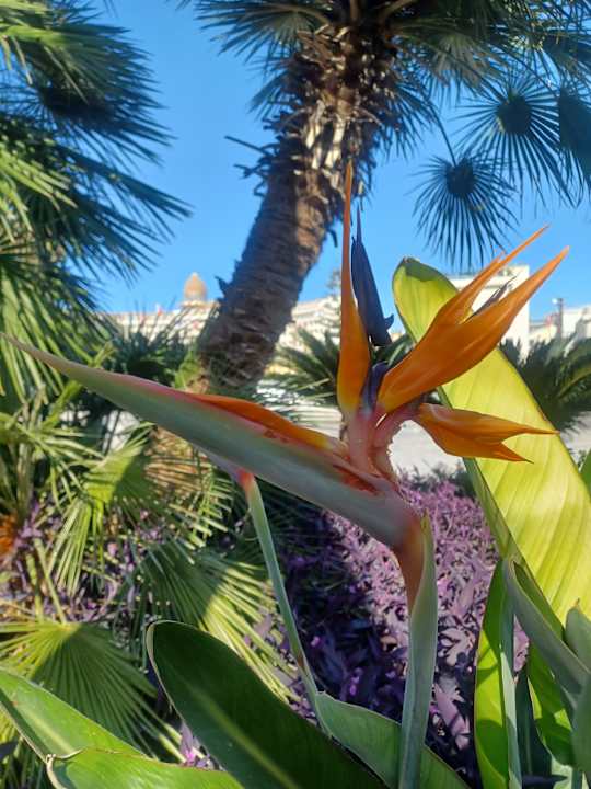 Gartenanlage Seaden Quality Resort & Spa