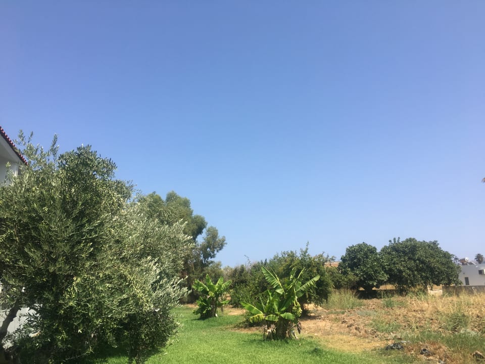 Gartenanlage Ilios K Village Resort