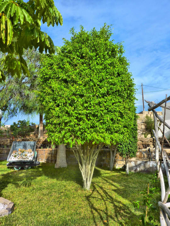 Finca Constanza Finca Constanza