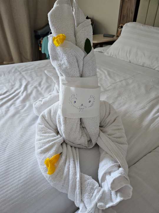 Zimmer Serenity Alpha Beach