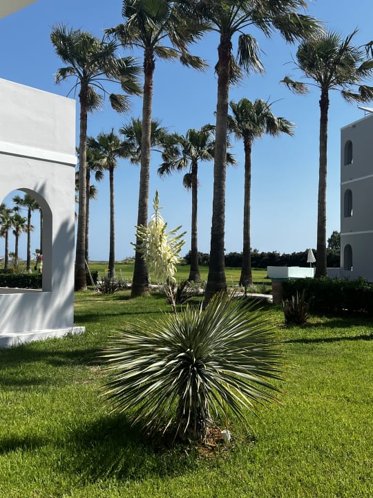Gartenanlage Delfina Tropic Beach