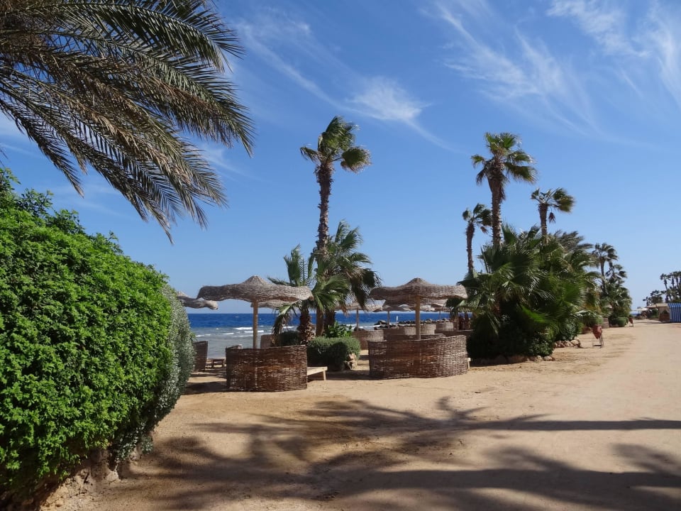 Aussicht Pickalbatros Citadel Resort