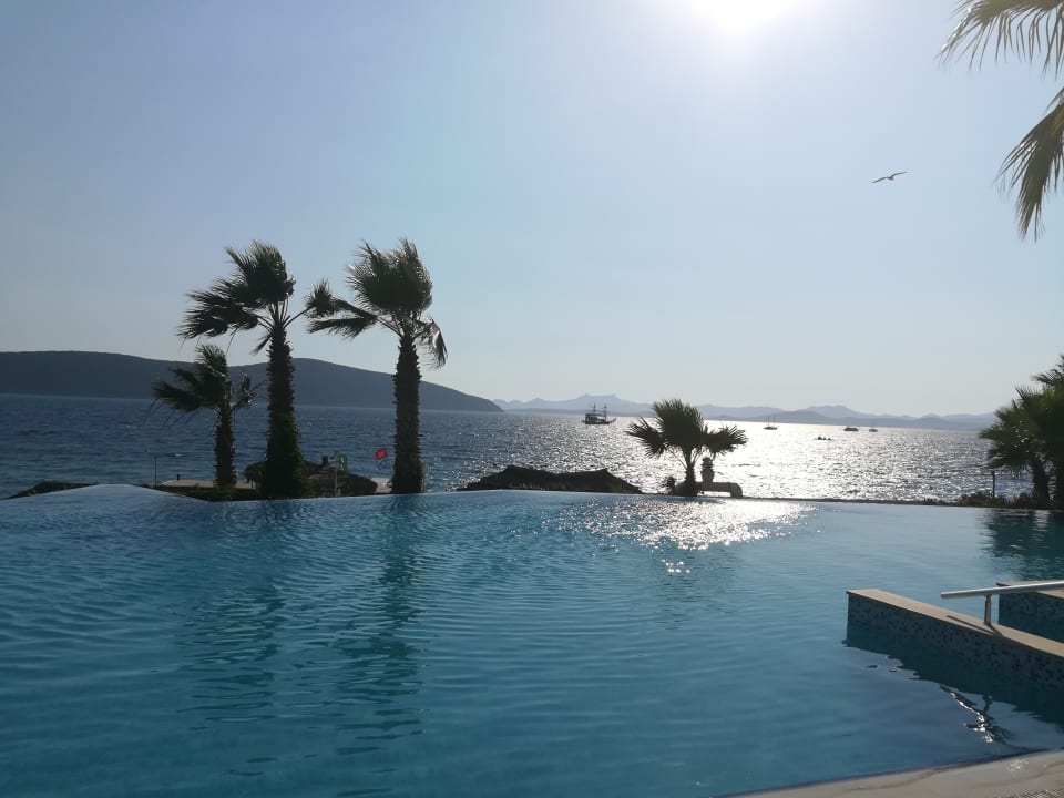 Pool TUI MAGIC LIFE Bodrum - Adult Only (16+)