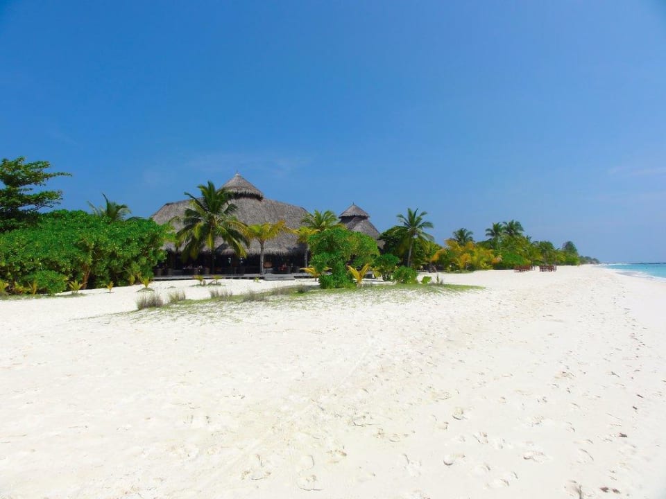 Sangu Bar Südstrand Kuredu Kuredu Island Resort & Spa