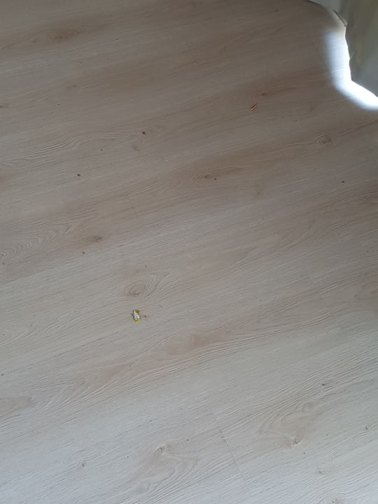 Zimmer Castival Hotel