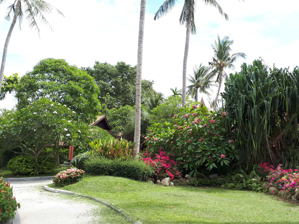 Gartenanlage The Fair House Beach Resort