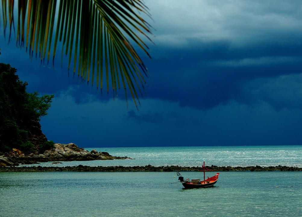 Kolejny widok z tarasu Hotel Salad Hut