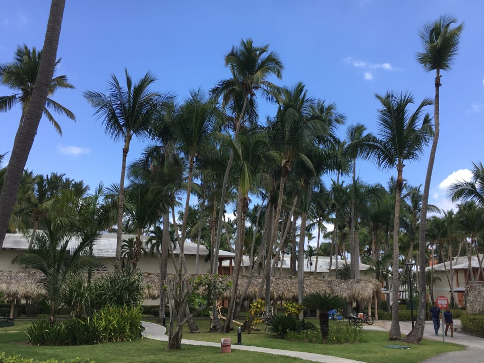 Gartenanlage Hotel Grand Palladium Palace Resort, Spa & Casino