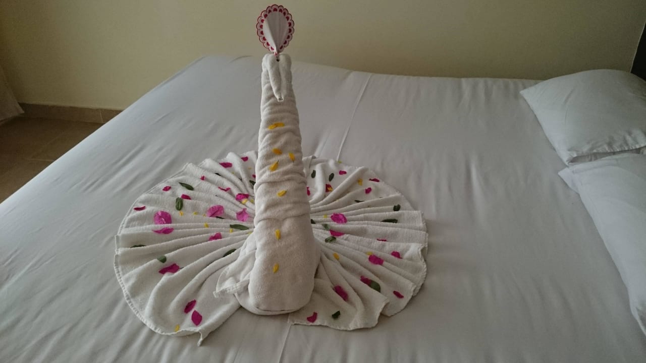 Unser Zimmerservice überraschte uns täglich Panorama Bungalows Resort El Gouna