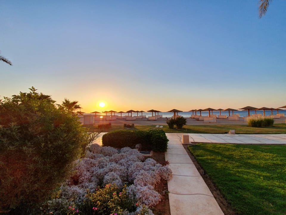 Zimmer Shams Prestige Abu Soma-Adults Only