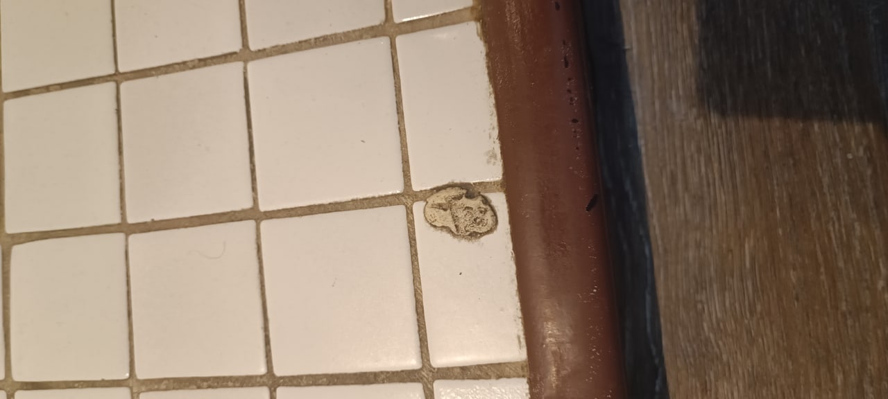 Zimmer Queen's Park Hotel