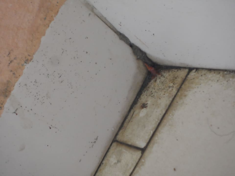 BALKON ! BÄHH!!! Hotel Palia La Roca