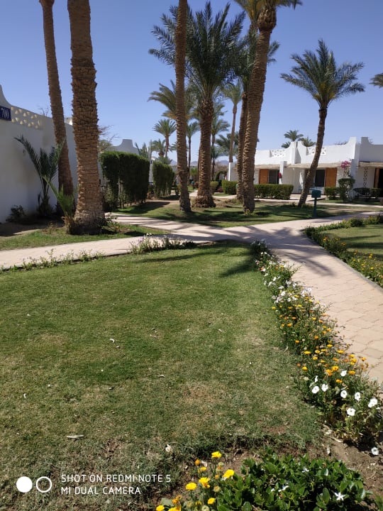 Gartenanlage Shams Safaga Resort