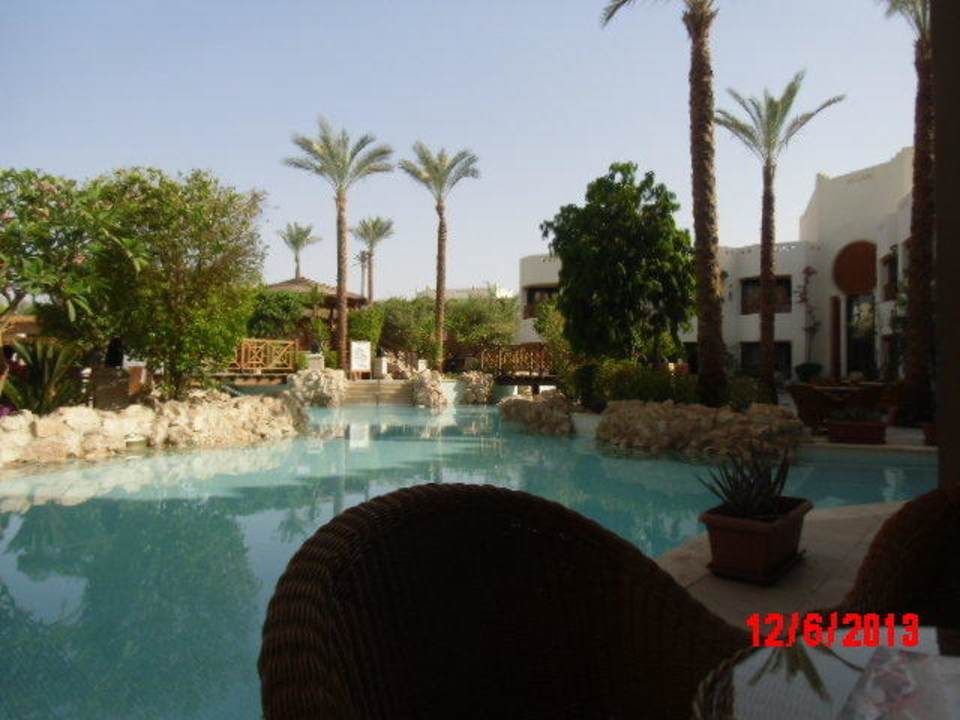 Super Ghazala Gardens