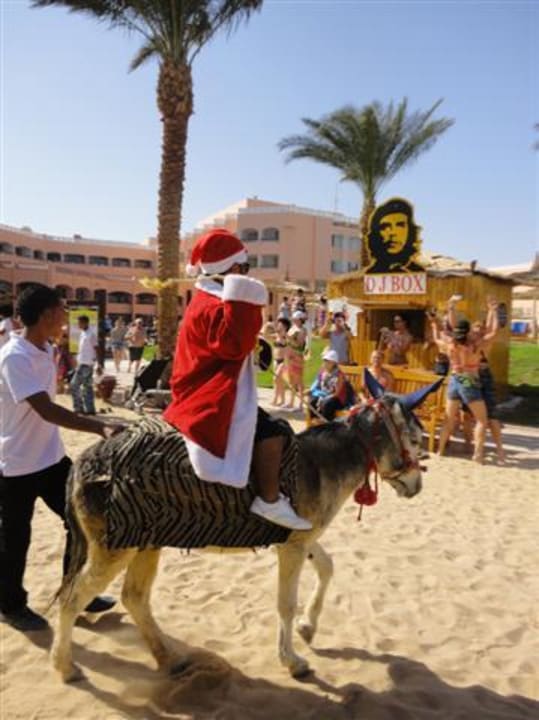 Nikolaus Beach Albatros Resort