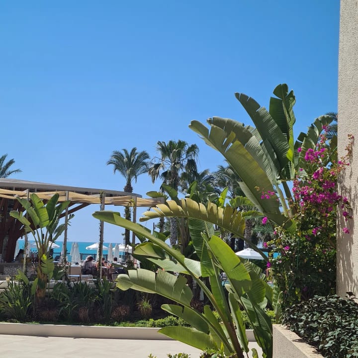 Pool PALOMA Perissia