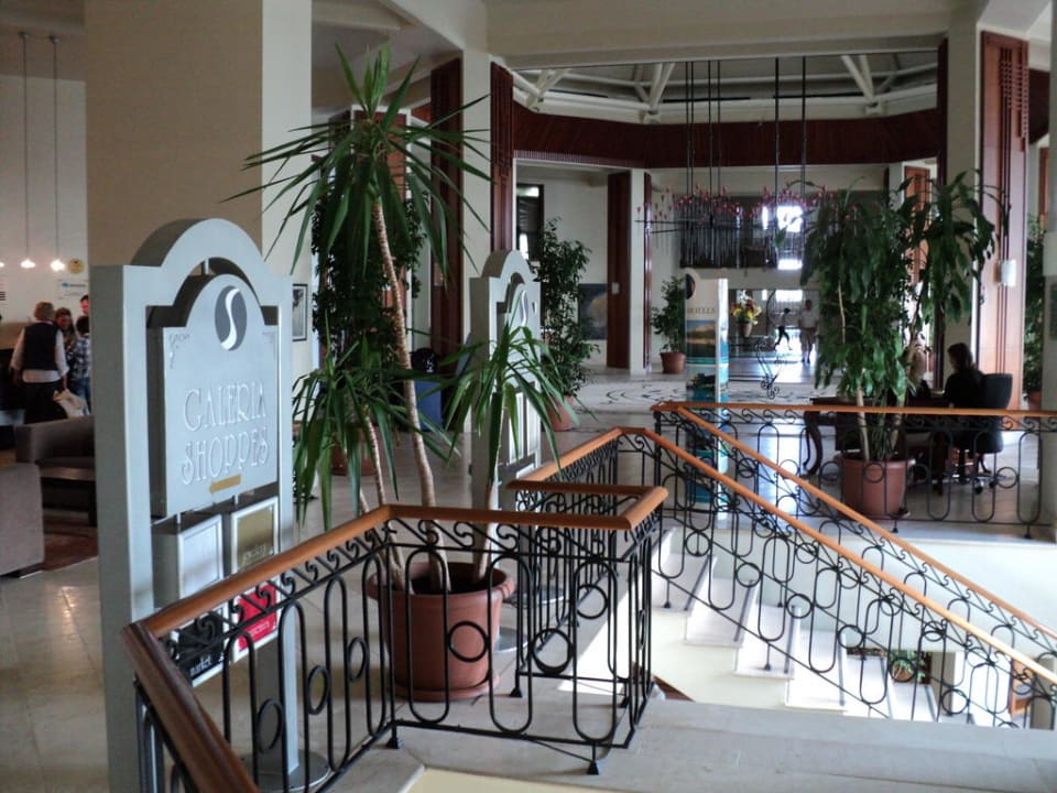 Lobby PALOMA Perissia