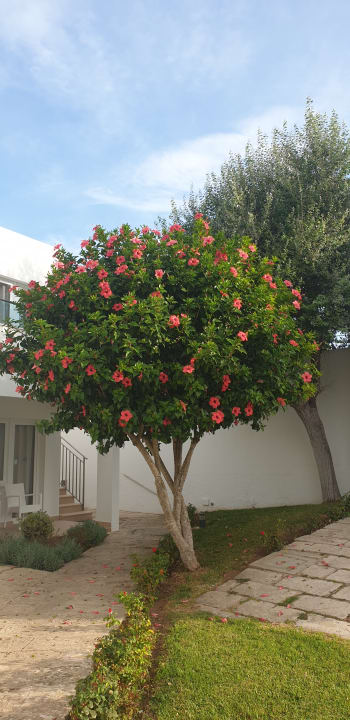 Gartenanlage Globales Lord Nelson - Adults only