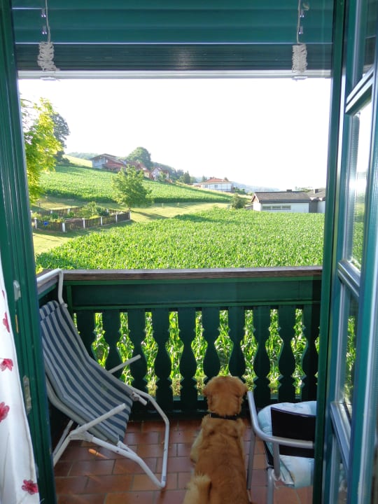 Auch dem Hund gefällts Malerwinkl Kunsthotel + Restaurant