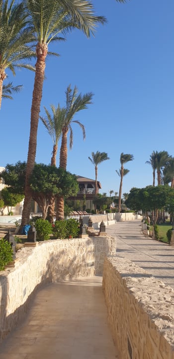 Gartenanlage Makadi Spa - Adults only