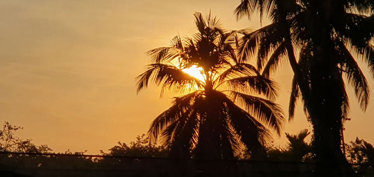 Ausblick Hotel Bentota Village