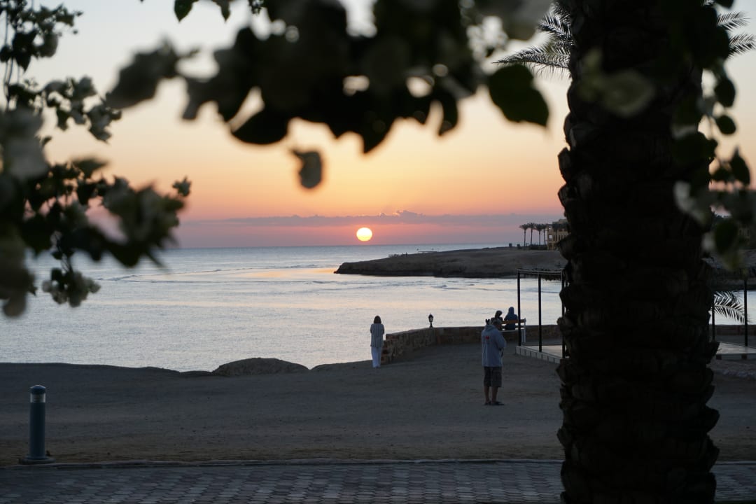 Strand Steigenberger Coraya Beach - Adults only