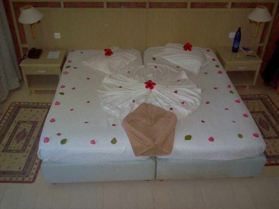 BG-Zimmer  Doppelbett-Raum Hotel El Mouradi Djerba Menzel