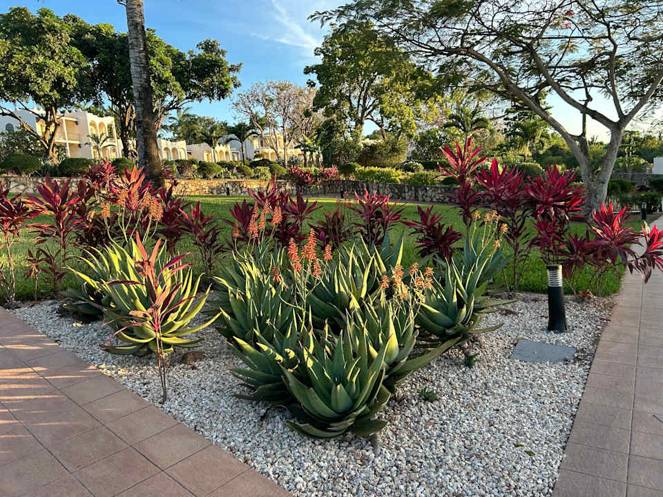 Außenansicht Hotel Riu Palace Zanzibar