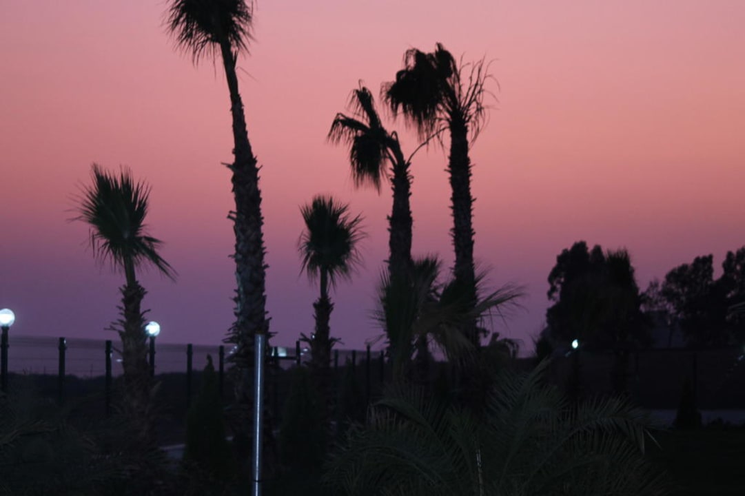 Sonnenuntergang mit Palmen  Cenger Beach Resort & Spa
