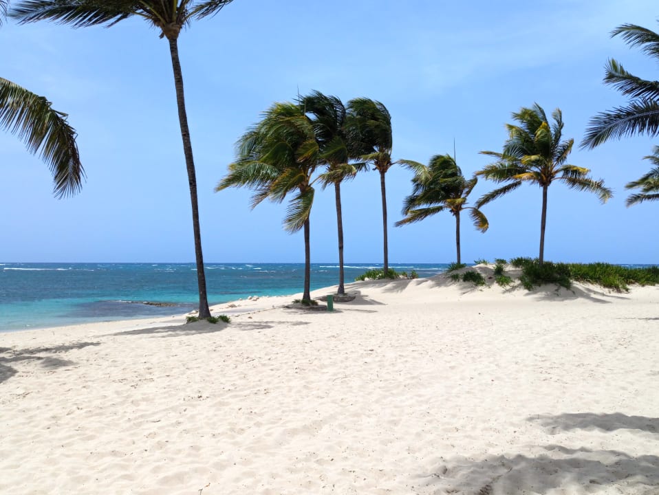 Strand Grand Paradise Playa Dorada